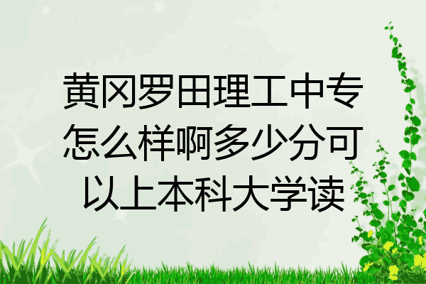黄冈罗田理工中专怎么样啊多少分可以上本科大学读