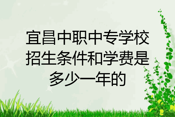 宜昌中职中专学校招生条件和学费是多少一年的