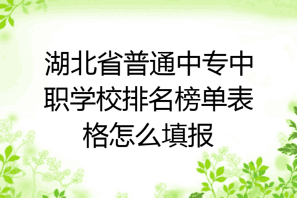 湖北省普通中专中职学校排名榜单表格怎么填报