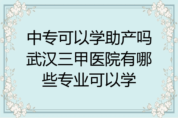 中专可以学助产吗武汉三甲医院有哪些专业可以学