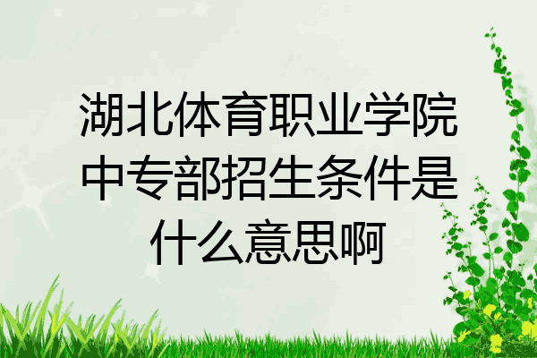 湖北体育职业学院中专部招生条件是什么意思啊
