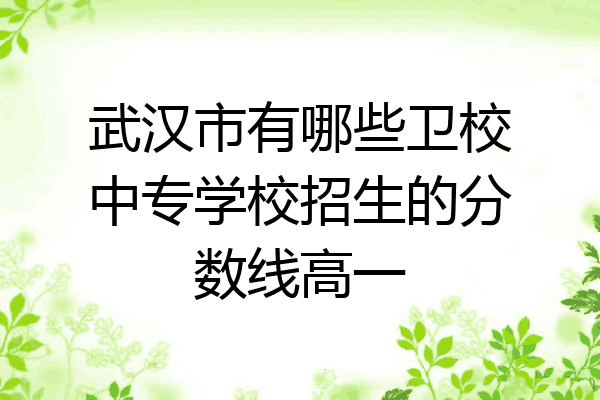 武汉市有哪些卫校中专学校招生的分数线高一