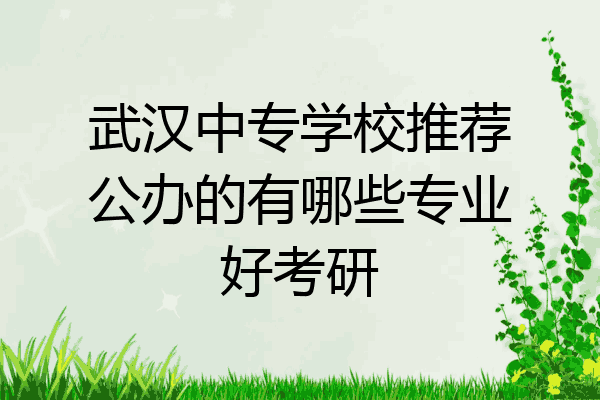 武汉中专学校推荐公办的有哪些专业好考研