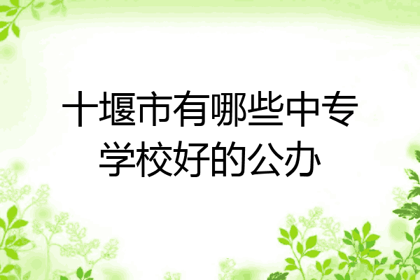 十堰市有哪些中专学校好的公办