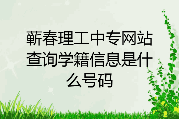 蕲春理工中专网站查询学籍信息是什么号码