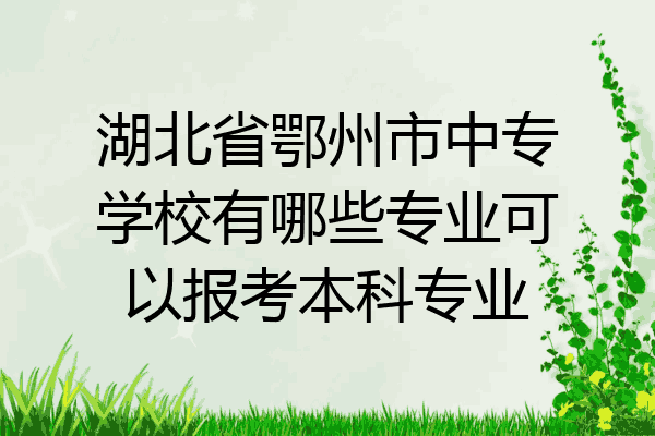 湖北省鄂州市中专学校有哪些专业可以报考本科专业