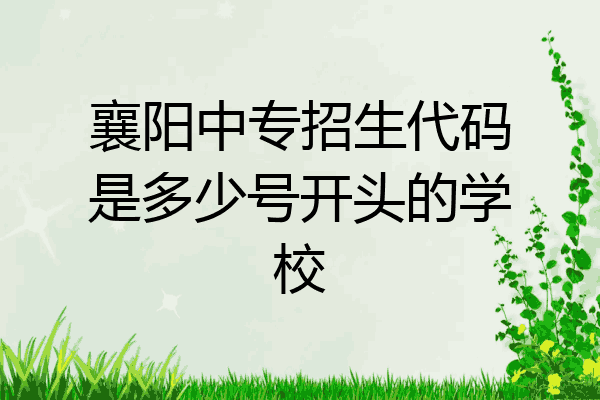 襄阳中专招生代码是多少号开头的学校
