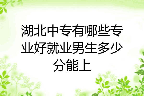 湖北中专有哪些专业好就业男生多少分能上
