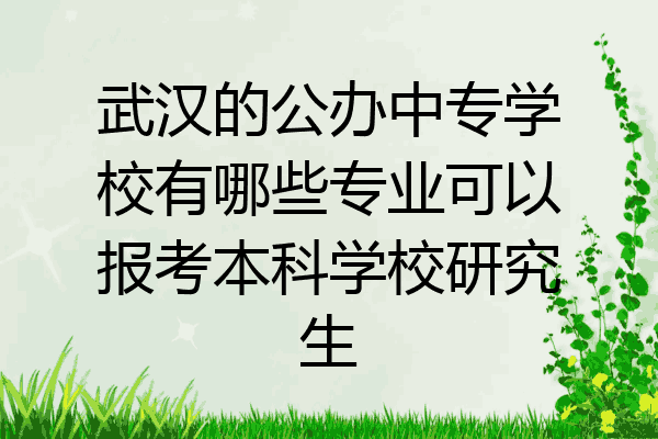 武汉的公办中专学校有哪些专业可以报考本科学校研究生