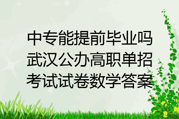 中专能提前毕业吗武汉公办高职单招考试试卷数学答案