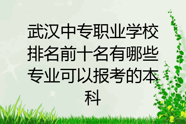 武汉中专职业学校排名前十名有哪些专业可以报考的本科