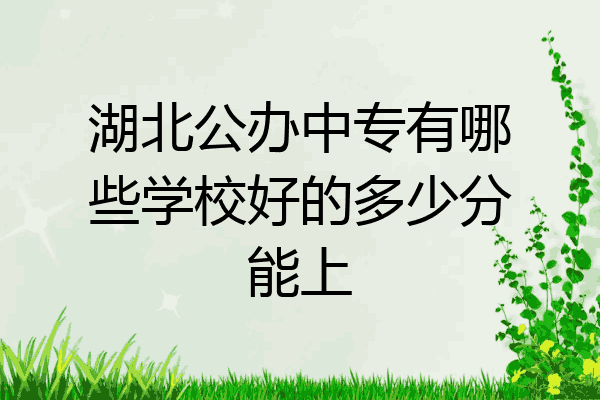 湖北公办中专有哪些学校好的多少分能上