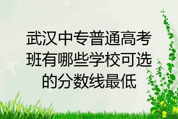 武汉中专普通高考班有哪些学校可选的分数线最低