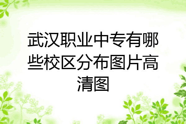 武汉职业中专有哪些校区分布图片高清图