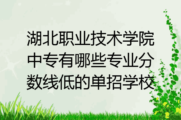 湖北职业技术学院中专有哪些专业分数线低的单招学校