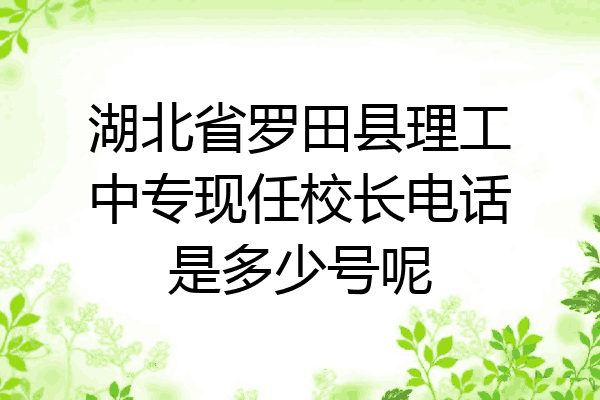 湖北省罗田县理工中专现任校长电话是多少号呢
