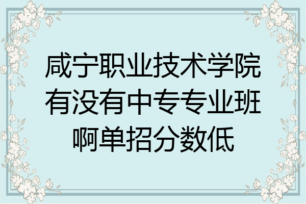 咸宁职业技术学院有没有中专专业班啊单招分数低