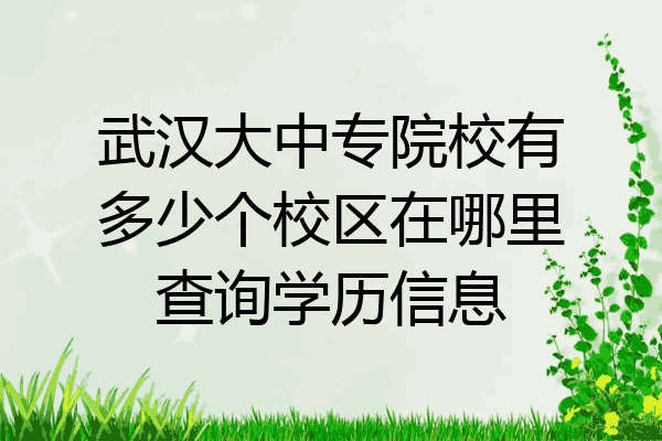 武汉大中专院校有多少个校区在哪里查询学历信息