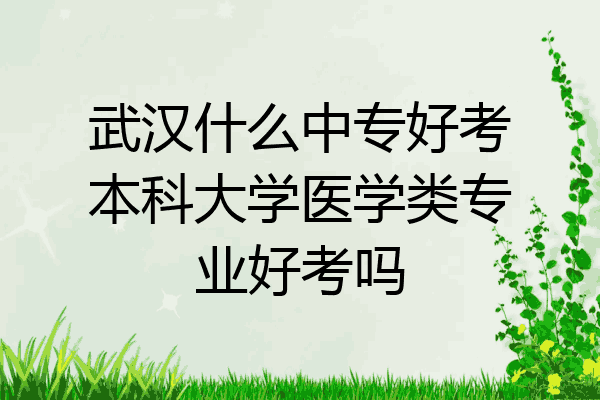 武汉什么中专好考本科大学医学类专业好考吗