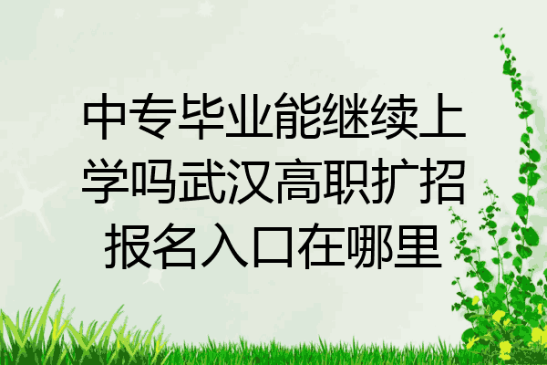 中专毕业能继续上学吗武汉高职扩招报名入口在哪里