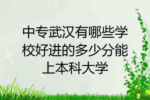 中专武汉有哪些学校好进的多少分能上本科大学