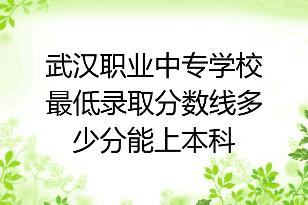 武汉职业中专学校最低录取分数线多少分能上本科