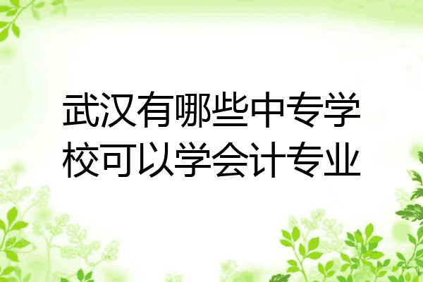 武汉有哪些中专学校可以学会计专业