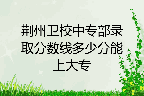 荆州卫校中专部录取分数线多少分能上大专