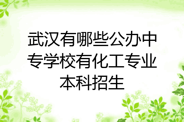 武汉有哪些公办中专学校有化工专业本科招生