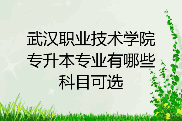 武汉职业技术学院专升本专业有哪些科目可选
