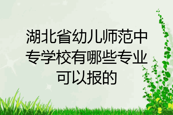 湖北省幼儿师范中专学校有哪些专业可以报的