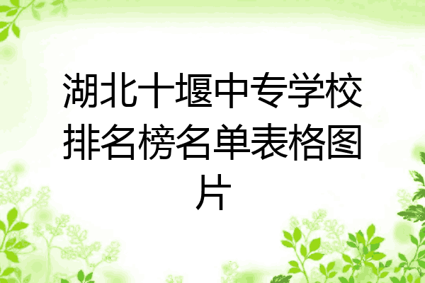湖北十堰中专学校排名榜名单表格图片