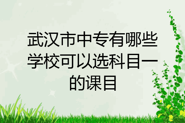 武汉市中专有哪些学校可以选科目一的课目
