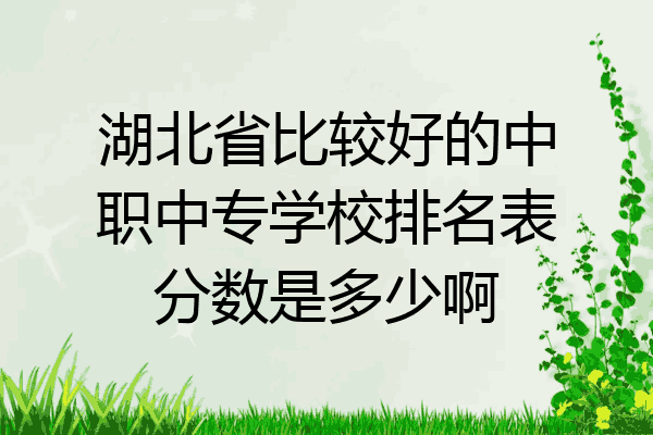 湖北省比较好的中职中专学校排名表分数是多少啊