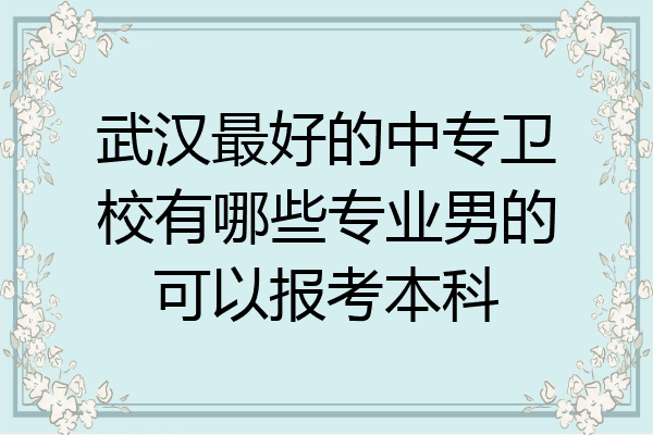 武汉最好的中专卫校有哪些专业男的可以报考本科