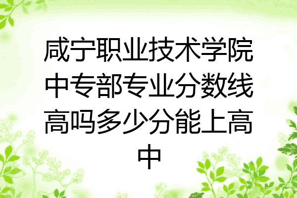 咸宁职业技术学院中专部专业分数线高吗多少分能上高中