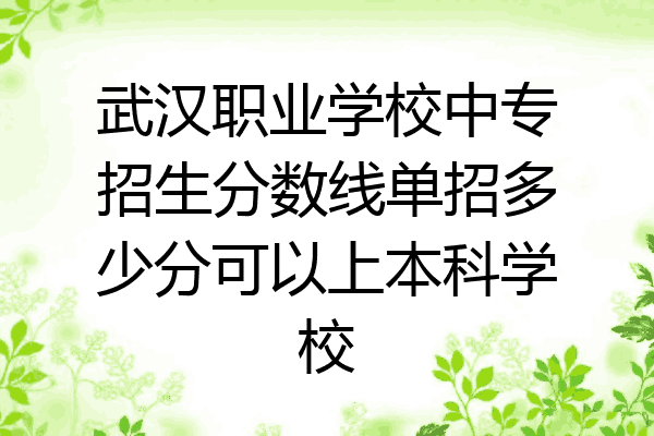 武汉职业学校中专招生分数线单招多少分可以上本科学校