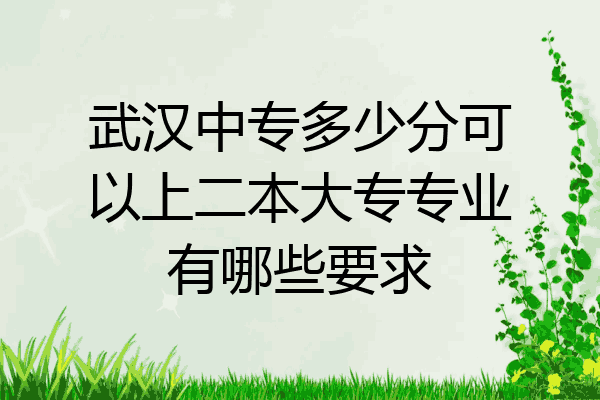 武汉中专多少分可以上二本大专专业有哪些要求