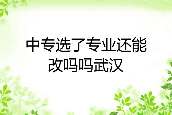 中专选了专业还能改吗吗武汉