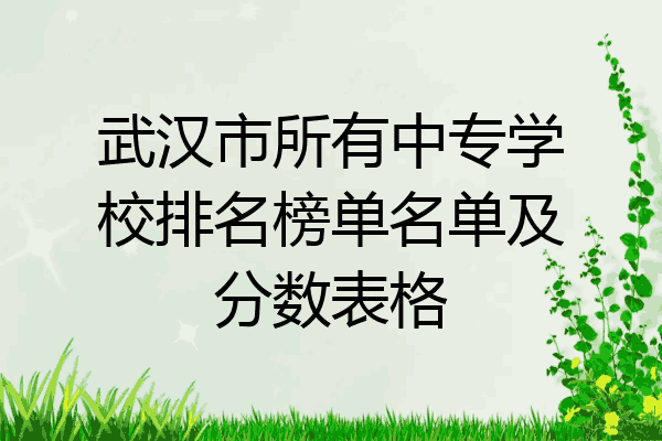 武汉市所有中专学校排名榜单名单及分数表格