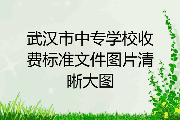 武汉市中专学校收费标准文件图片清晰大图