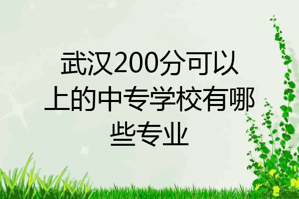 武汉200分可以上的中专学校有哪些专业