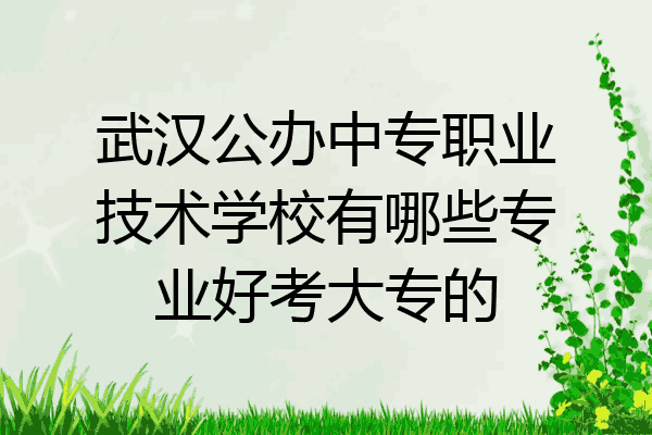 武汉公办中专职业技术学校有哪些专业好考大专的