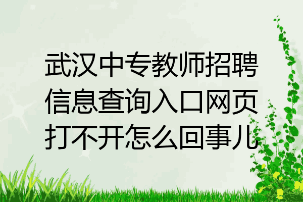 武汉中专教师招聘信息查询入口网页打不开怎么回事儿