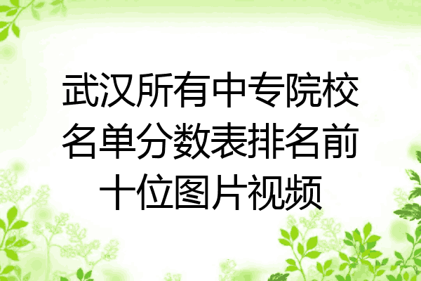 武汉所有中专院校名单分数表排名前十位图片视频