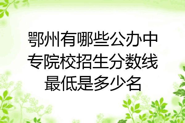 鄂州有哪些公办中专院校招生分数线最低是多少名