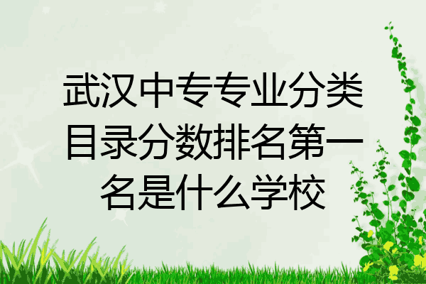 武汉中专专业分类目录分数排名第一名是什么学校