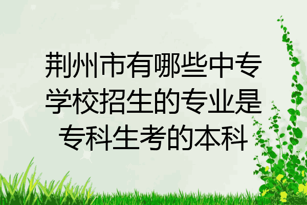 荆州市有哪些中专学校招生的专业是专科生考的本科