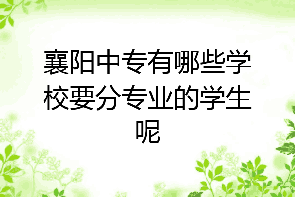 襄阳中专有哪些学校要分专业的学生呢