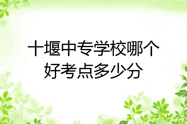 十堰中专学校哪个好考点多少分